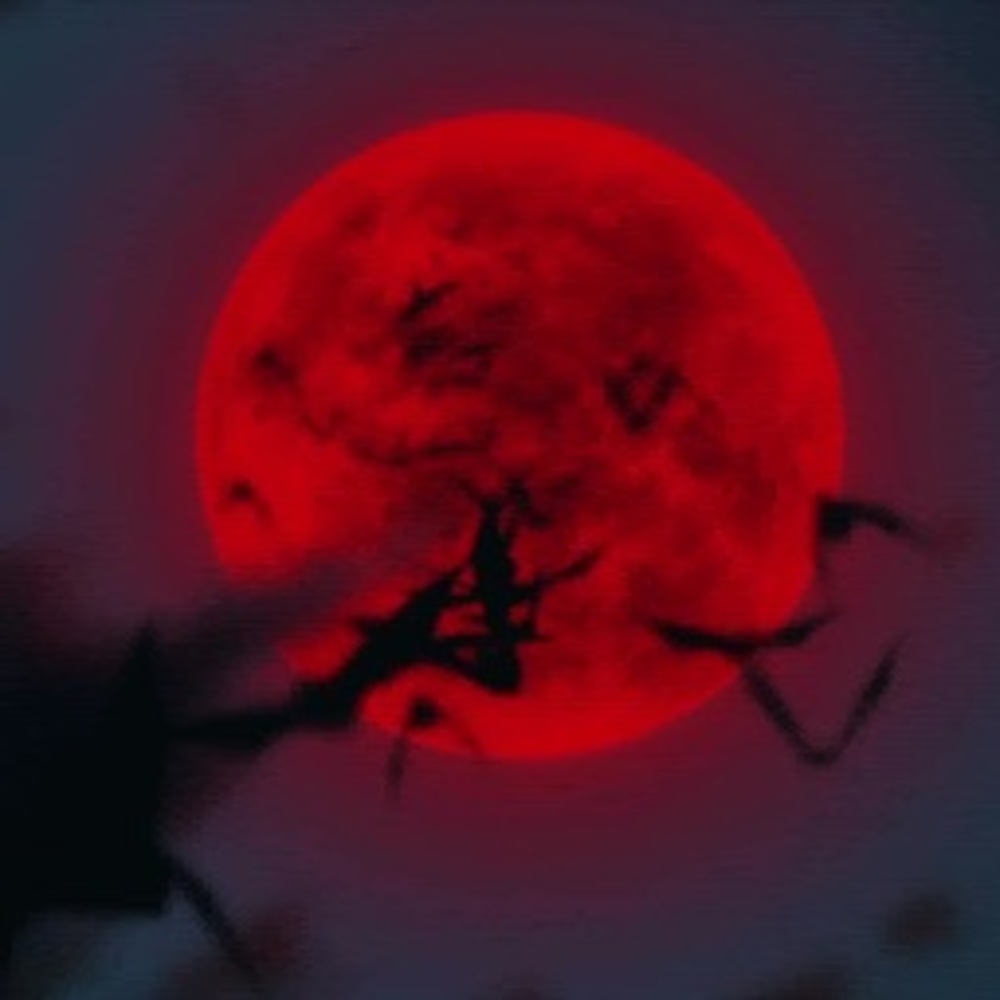 Meet your Posher, Plug